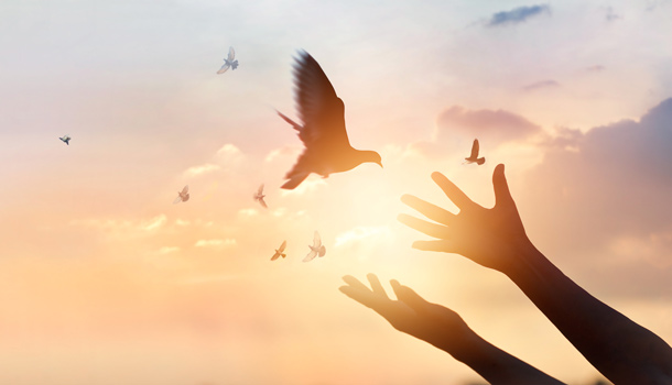 要懂得珍惜，也要捨得放手！