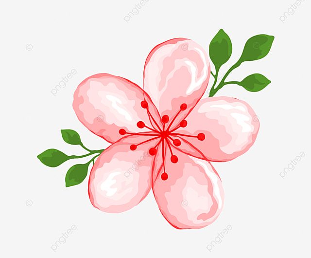 金錢戀愛學；放下「害怕失去」，培養享受金錢與愛情的能力。